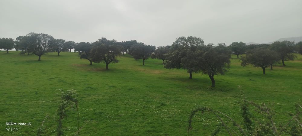 Paraje de Sartajada