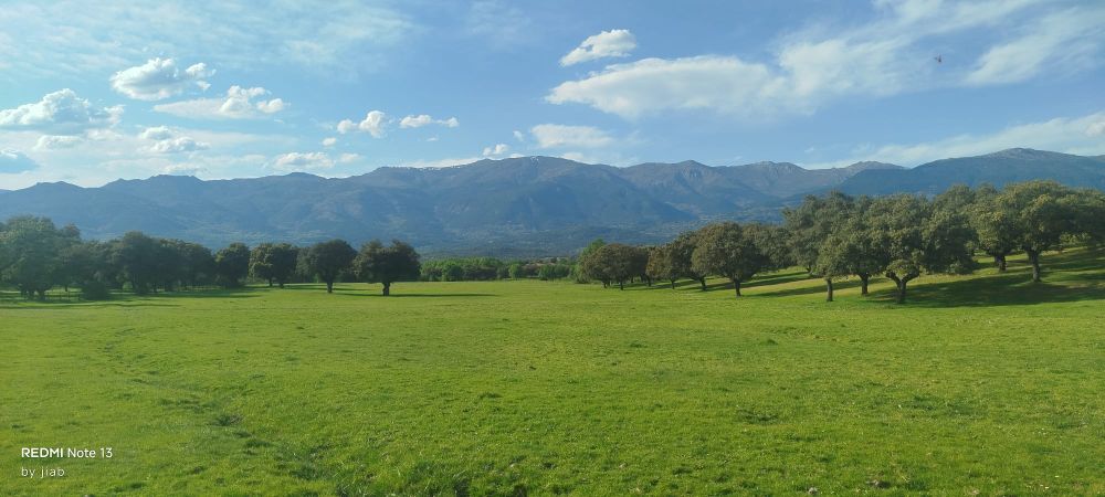 Paraje de Sartajada