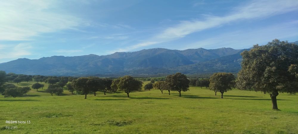 Paraje de Sartajada