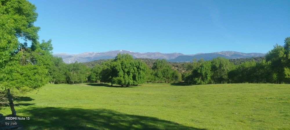 Fresnos