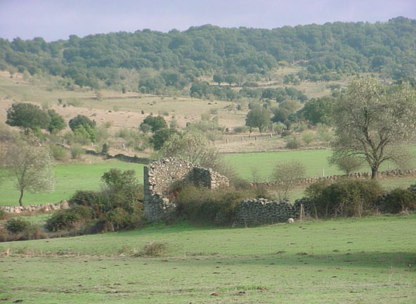 Molino maquilero